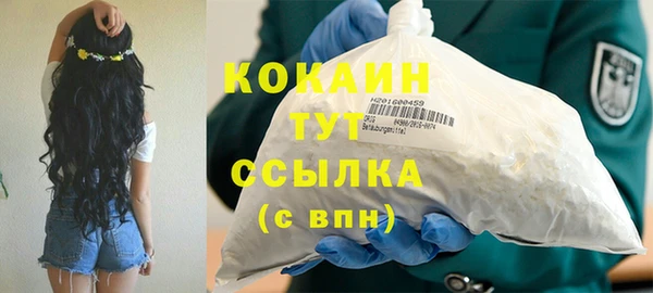 сатива Зерноград