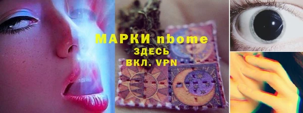 стаф Зеленокумск