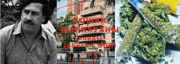 стаф Зеленокумск