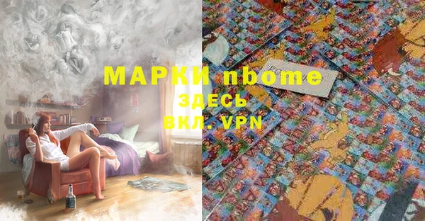 сатива Зерноград