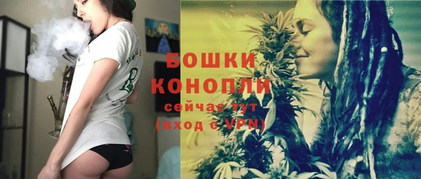 стаф Зеленокумск