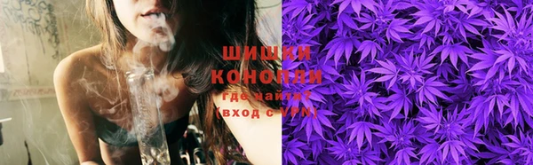стаф Зеленокумск