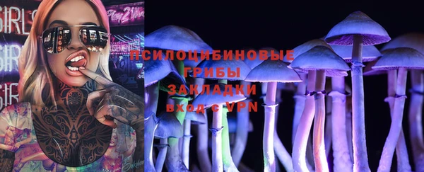 стаф Зеленокумск