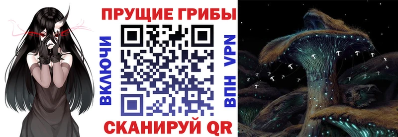 это официальный сайт  Сосногорск  Галлюциногенные грибы прущие грибы  наркошоп 